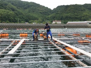 ホームページの写真撮影（山口県下松市）